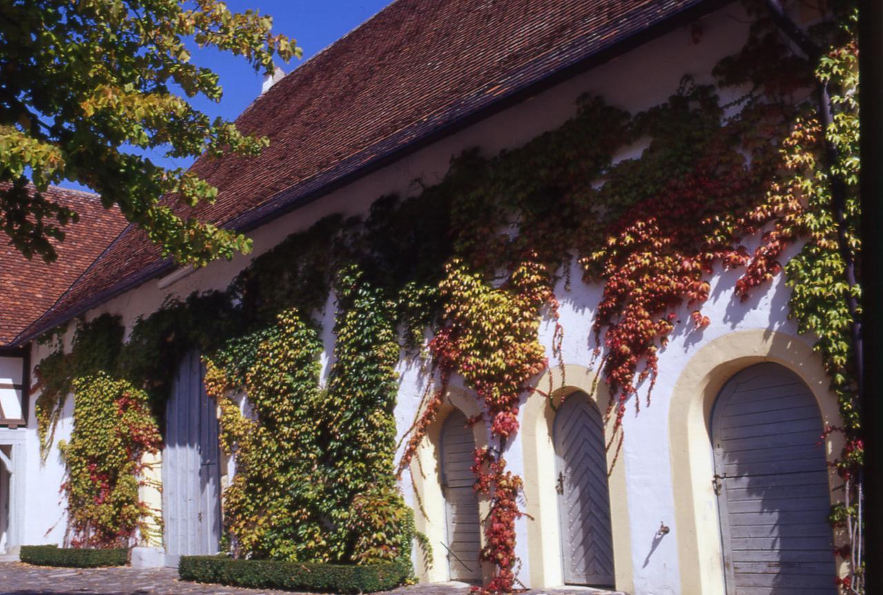 Markgraeflich Badischer Gasthof Schwanen Salem  Dış mekan fotoğraf