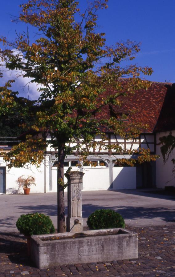Markgraeflich Badischer Gasthof Schwanen Salem  Dış mekan fotoğraf